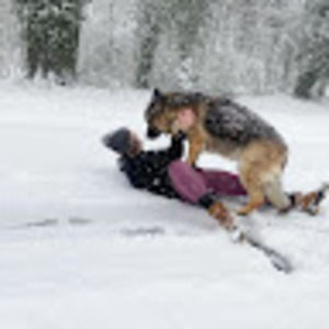 Meet your Posher, Jocelyn